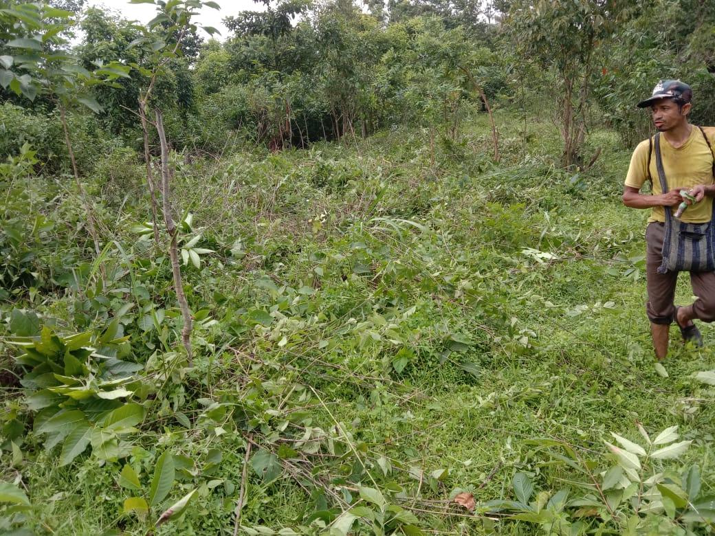 C:\Users\ADMIN\AppData\Local\Microsoft\Windows\Temporary Internet Files\Content.Word\IMG-20220620-WA0018.jpg